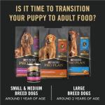 Purina Pro Plan Lamb & Rice Puppy Food 2.72kg