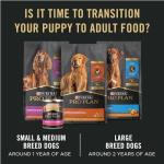 Purina Pro Plan Puppy Small Breed Chicken & Rice