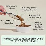 Open Farm Ancient Grains Protein-Rich Puppy Food