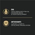 Purina Pro Plan Puppy Food with Chicken & Rice