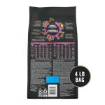 Purina Pro Plan Salmon & Rice Puppy Food