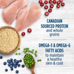 Nutrience Original Healthy Puppy Food, Chicken & Rice