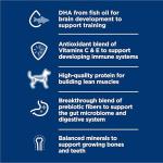 Hill's Science Diet Puppy Chicken & Veggie Stew