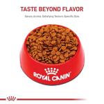 Royal Canin Medium Puppy Dry Dog Food, 4 lb