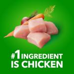 IAMS Proactive Health Puppy Food - Chicken Recipe