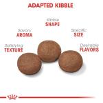 Royal Canin Medium Puppy Dry Dog Food, 4 lb