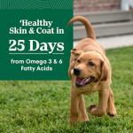 NUTRO Large Breed Puppy Lamb & Rice Dog Food