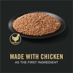 Purina Pro Plan Puppy Chicken & Rice Wet Food