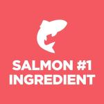 Hill's Science Diet Puppy Salmon & Rice Formula