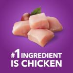 IAMS Advanced Health Mobility Support Dog Food