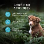 Blue Buffalo Wilderness Natural Dry Dog Food Puppy