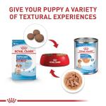 Royal Canin Medium Puppy Dry Dog Food, 4 lb
