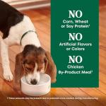 NUTRO Large Breed Puppy Lamb & Rice Dog Food