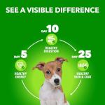 IAMS Proactive Health Puppy Food - Chicken Recipe