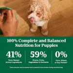 NUTRO Large Breed Puppy Lamb & Rice Dog Food