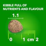 IAMS Proactive Health Puppy Food - Chicken Recipe