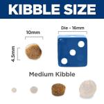 Hill's Science Diet Puppy Salmon & Rice Formula