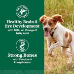 NUTRO Large Breed Puppy Lamb & Rice Dog Food