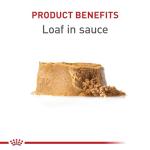 Royal Canin Puppy Canned Dog Food 13.5 oz