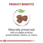 Royal Canin Small Breed Puppy Dry Dog Food