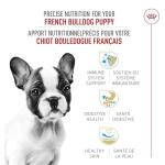Royal Canin French Bulldog Puppy Food, 10.5 lb