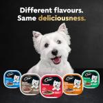 Cesar Filets in Sauce: Turkey & Prime Rib