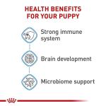 Royal Canin Small Breed Puppy Dry Dog Food