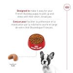 Royal Canin French Bulldog Puppy Food, 10.5 lb