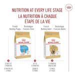 Royal Canin French Bulldog Puppy Food, 10.5 lb