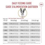 Royal Canin French Bulldog Puppy Food, 10.5 lb