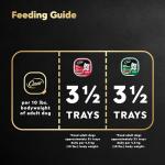 Cesar Filets in Sauce: Turkey & Prime Rib