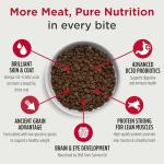 Nulo Frontrunner Puppy Dry Dog Food, 25 lb