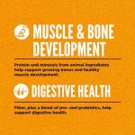 Orijen Puppy Food, 4.5 lb Bag