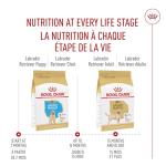 Royal Canin Labrador Puppy Dry Dog Food 30 lb