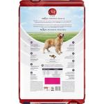 Purina ONE Healthy Aging Senior Dog Food 6kg