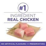 Purina ONE Senior Dry Dog Food with Chicken