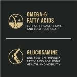 Purina Pro Plan Senior Dog Food with Salmon