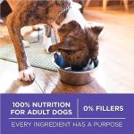 Purina ONE Senior Dry Dog Food with Chicken