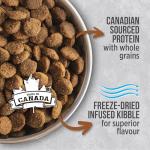 Nutrience Infusion Healthy Senior Dog Food - Chicken