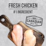 Nutrience Infusion Healthy Senior Dog Food - Chicken