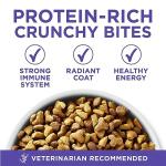 Purina ONE Senior Dry Dog Food with Chicken