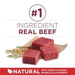 Purina ONE Beef & Rice Dry Dog Food 6.8 kg