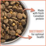 Nutrience Care Hypoallergenic Dog Food, Salmon & Pumpkin