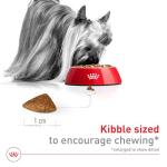 Royal Canin X-Small Aging 12+ Dry Dog Food