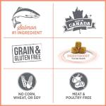 Nutrience Care Hypoallergenic Dog Food, Salmon & Pumpkin