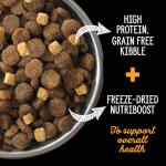 Nutrience Grain Free Subzero Large Breed Dog Food