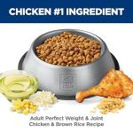 Hill's Science Diet Adult Dog Food - Chicken