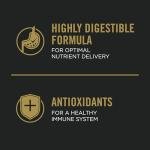 Purina Pro Plan Salmon & Rice Dog Food 2.27 kg