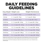 Go! Solutions Grain-Free Senior Dog Food 12lbs