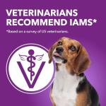 IAMS Advanced Health Dry Dog Food - Chicken & Salmon